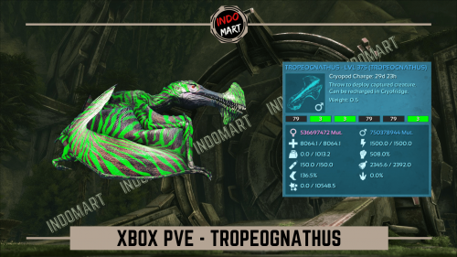 TROPEOGNATHUS XB.png