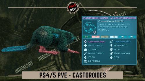 CASTOROIDES PS.png