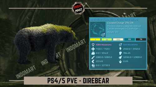 DIREBEAR PS.png