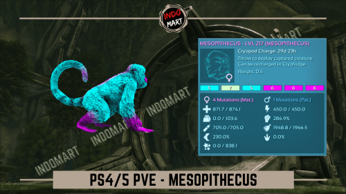 MESOPITHECUS PS.png