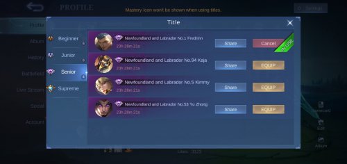 Screenshot_20221204_213151_Mobile Legends Bang Bang.jpg