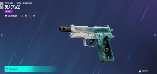 Black Ice P229.png