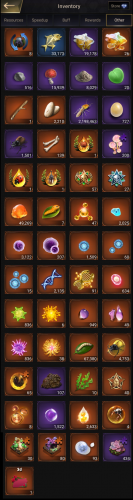 inventory - other.png