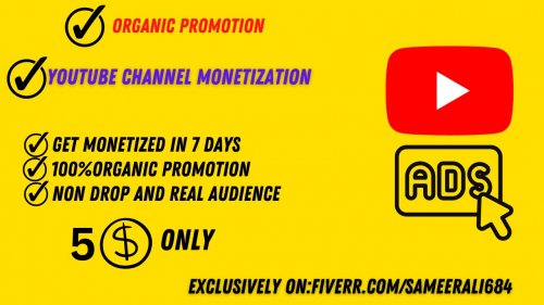 ORGANIC YOUTUBE PROMOTION (1).jpg