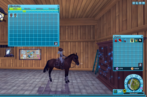 Star Stable 02_02_2023 18_00_59.png