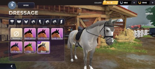 Screenshot_2023-04-21-09-37-57-322_com.gogallop.equestriad.jpg