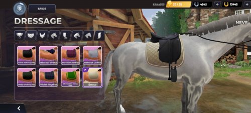 Screenshot_2023-04-21-09-37-52-878_com.gogallop.equestriad.jpg