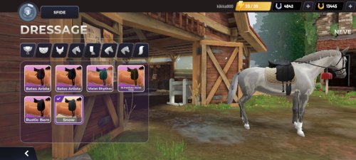 Screenshot_2023-04-21-09-37-46-124_com.gogallop.equestriad.jpg