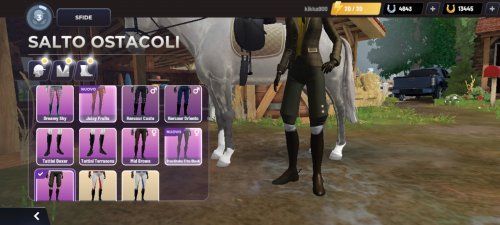 Screenshot_2023-04-21-09-37-34-833_com.gogallop.equestriad.jpg