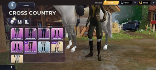 Screenshot_2023-04-21-09-36-56-701_com.gogallop.equestriad.jpg