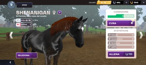 Screenshot_2023-04-21-09-34-11-420_com.gogallop.equestriad.jpg