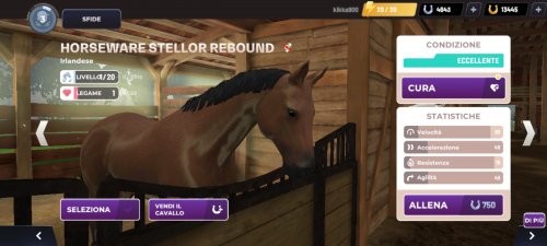 Screenshot_2023-04-21-09-33-58-588_com.gogallop.equestriad.jpg