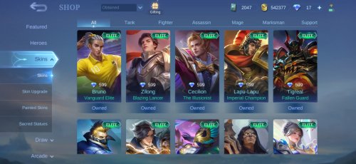 Screenshot_20230701_170914_Mobile Legends Bang Bang.jpg