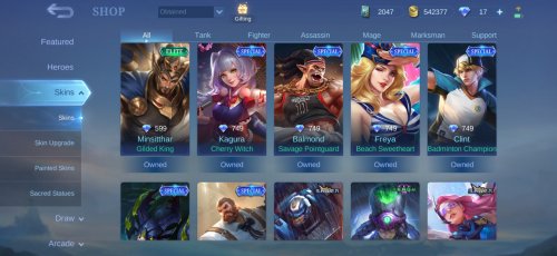 Screenshot_20230701_170926_Mobile Legends Bang Bang.jpg