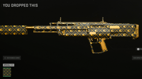 you droppped this camo.png