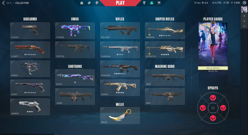 whyso inventory 1 .png