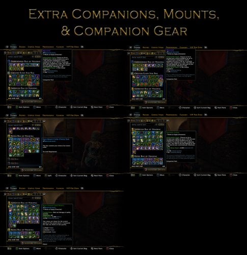 Items 03 Comp Gear.jpg