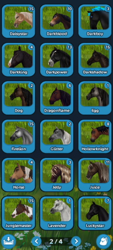 horses2.png