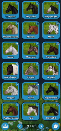 horses3.png