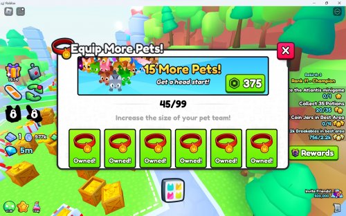 Pet Equipped pet slot 45.jpg