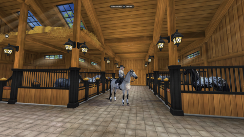 StarStable 2024-05-20 18-46-17.png