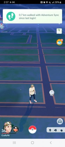 Screenshot_20240601_020743_Pokmon GO.jpg