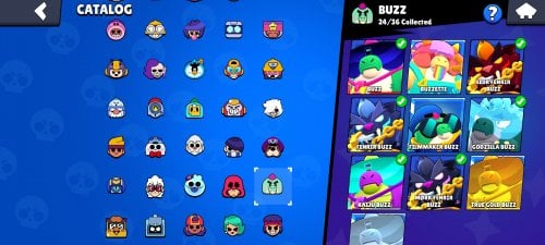 Screenshot_2024-06-10-18-30-43-024_com.supercell.brawlstars.jpg