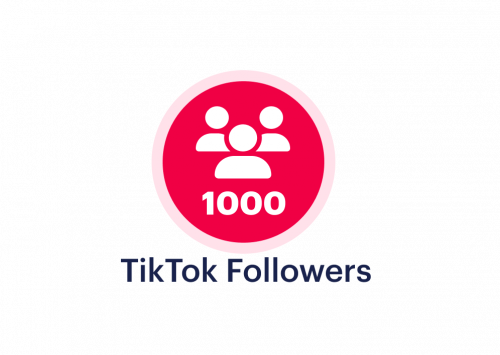 Buy-1000-TikTok-Followers.png