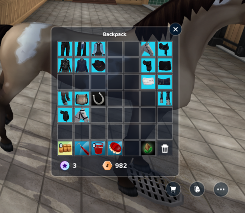 StarStable 2024-07-10 19-59-46.png