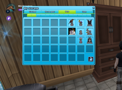 StarStable 2024-07-10 20-00-07.png