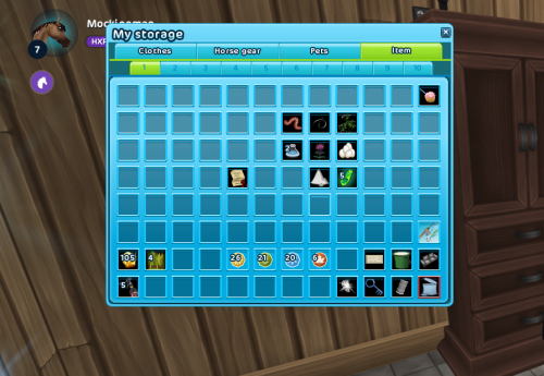 StarStable 2024-07-10 20-00-09.png