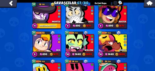 Screenshot_2024-06-29-18-36-36-701_com.supercell.brawlstars.jpg