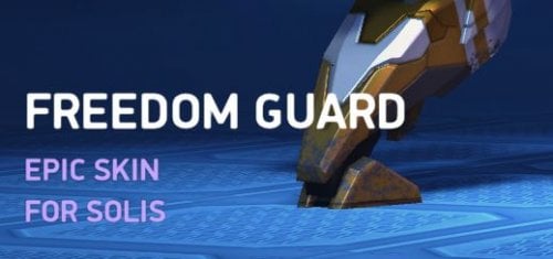 Skin - Freedom Guard.JPG