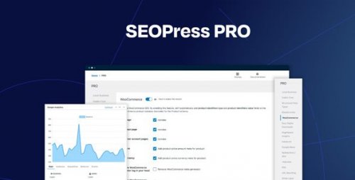 seopress-pro-6-6-0.jpg