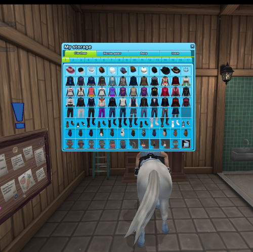 StarStable 2024-09-29 20-21-43.png