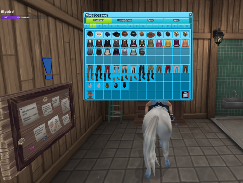 StarStable 2024-09-29 20-21-45.png