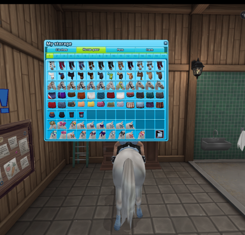 StarStable 2024-09-29 20-21-49.png