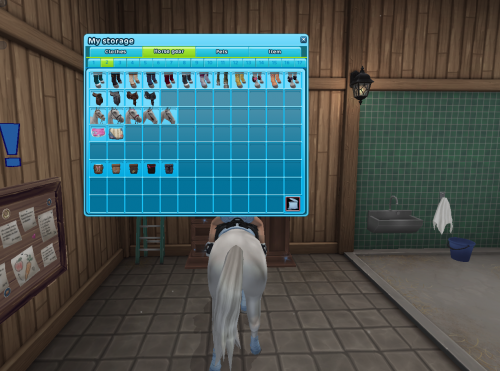 StarStable 2024-09-29 20-21-50.png