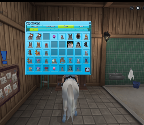 StarStable 2024-09-29 20-21-51.png