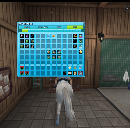 StarStable 2024-09-29 20-21-53.png