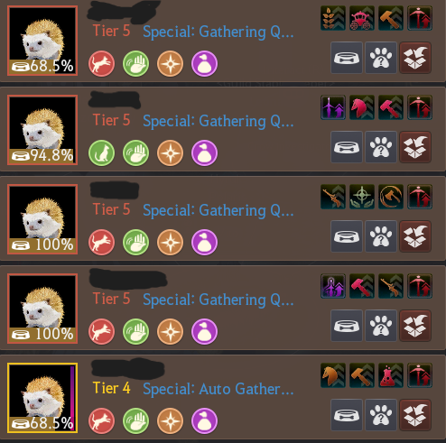 PetsGathering.png