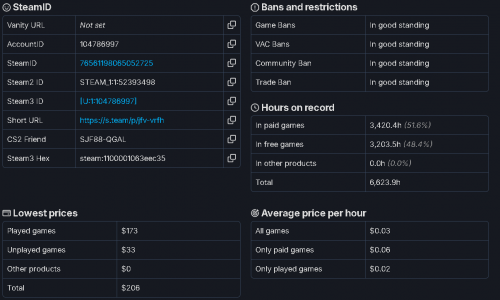 Steam Account info.png