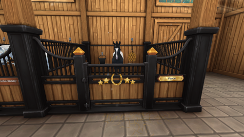 StarStable 2024-11-10 19-39-46.png