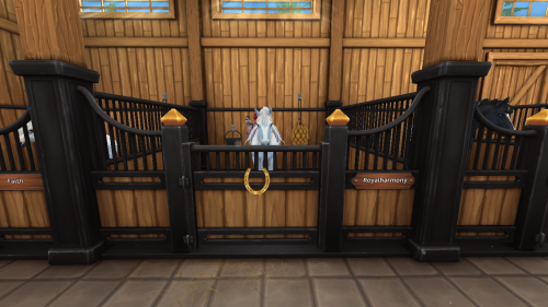 StarStable 2024-11-10 19-40-45.png