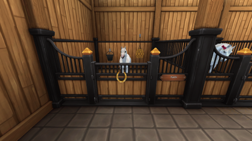 StarStable 2024-11-10 19-41-29.png