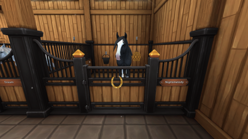 StarStable 2024-11-10 19-42-13.png