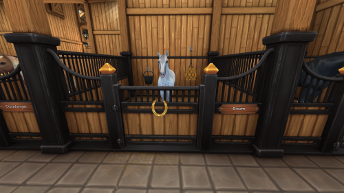 StarStable 2024-11-10 19-42-34.png