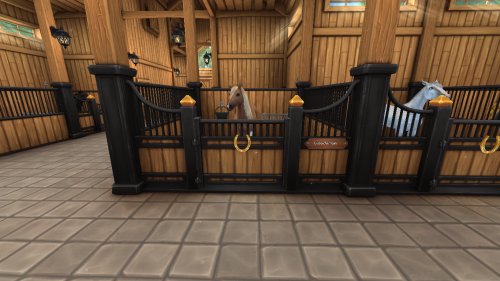 StarStable 2024-11-10 19-43-02.png