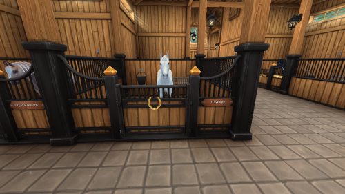 StarStable 2024-11-10 19-43-40.png