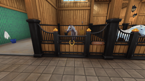 StarStable 2024-11-10 19-44-04.png